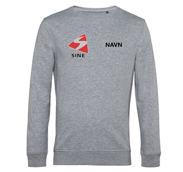 Sine Års sweatshirt Grå